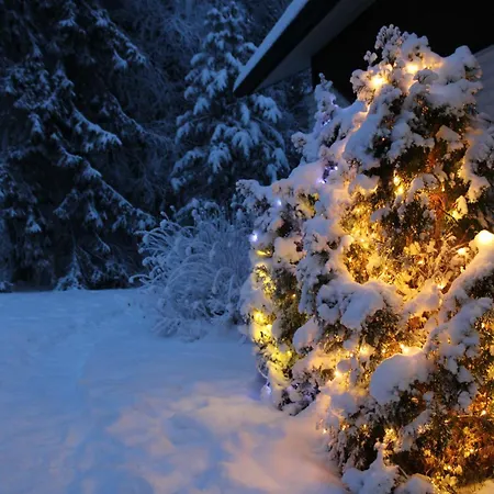 Charming House On Riverbank With Winter Activities Villa