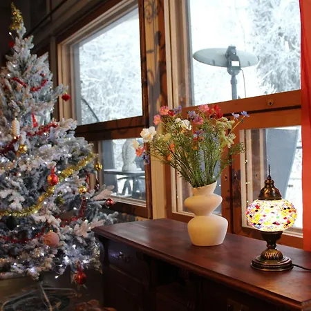 Charming House On Riverbank With Winter Activities Villa