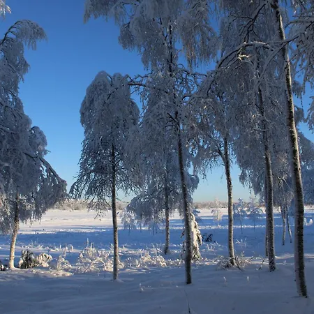 Atmospheric House On Riverbank * Rovaniemi