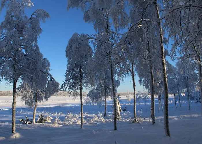 Atmospheric House On Riverbank * Rovaniemi